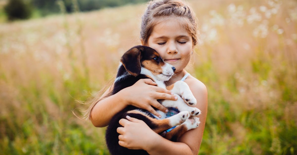 Little Girl Holds Puppy In Her Arms Concept Of Kindness Meme